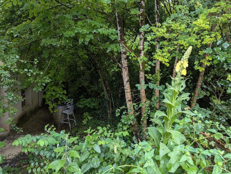 Gite Zen Dans Les Bois Blesignac Exteriör bild